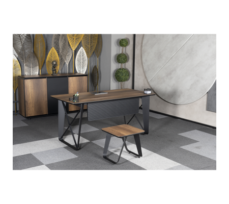 Alpi Ofis ve Büro Masa Takımı 160 cm Masalı